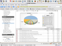Referrer view of the day