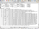 Terminal window, after Squid