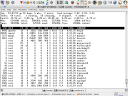 Squid using a noticeable amount of processor time