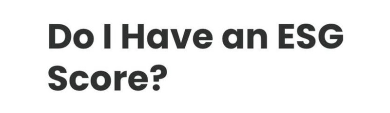 ESG is, in fact, social credit scoring ESG is, in fact, social credit scoring