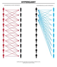 Female hypergamy in a single chart