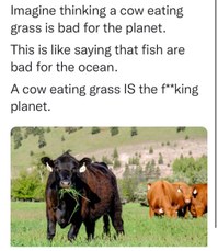 On the ethics of meat and Planet Earth