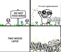 This post is not about birds