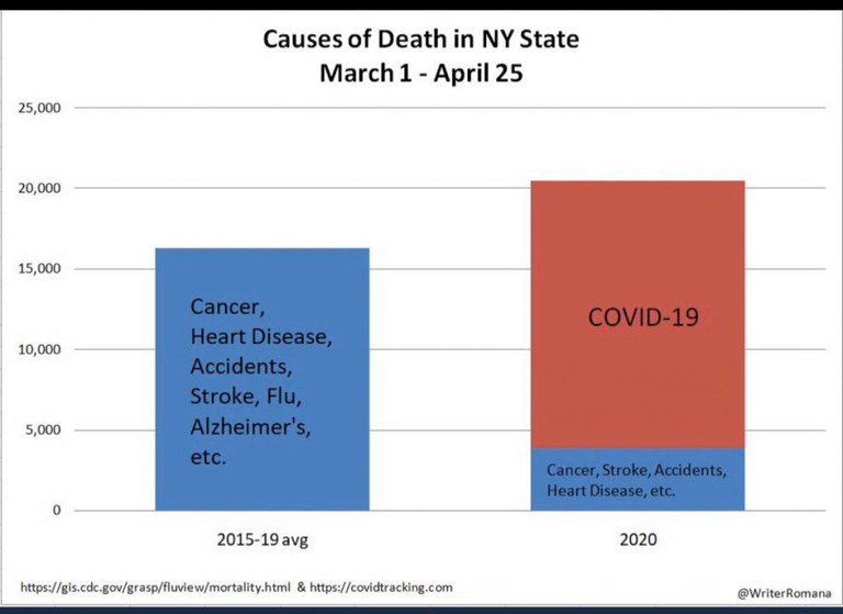 Causes of death in NY state.jpg
