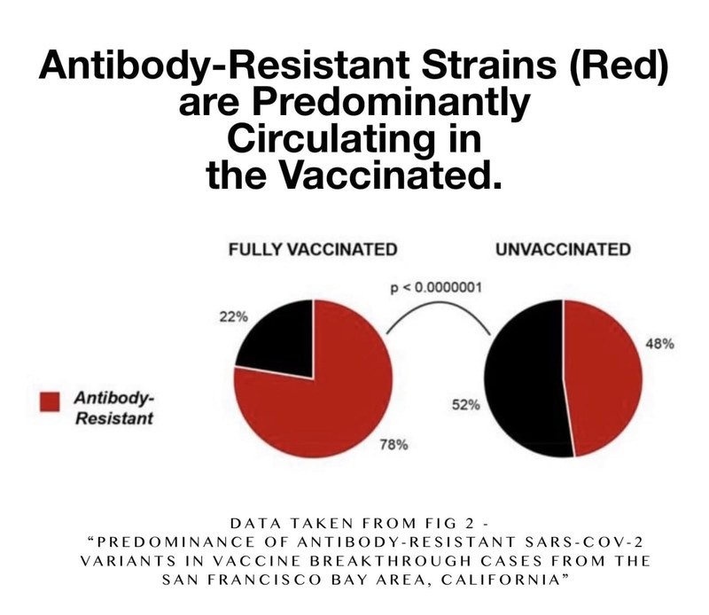 Antibody resistant strains are predominantly circulating in the vaccinated.jpg