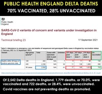 COVID vaccines are not preventing deaths as promoted.jpg