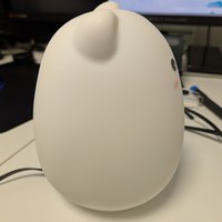 Light fully assembled with lamp shade.jpg